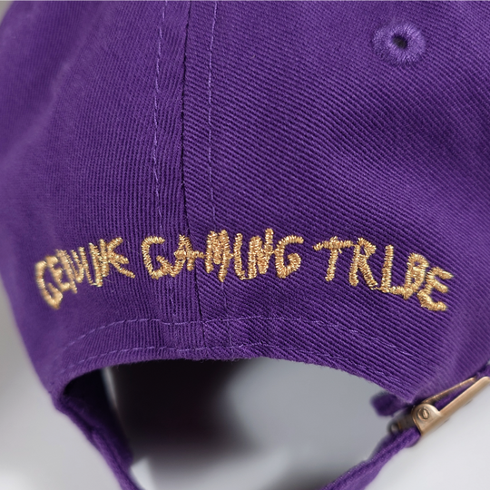 WINGMAN VRL CAP / PURPLE